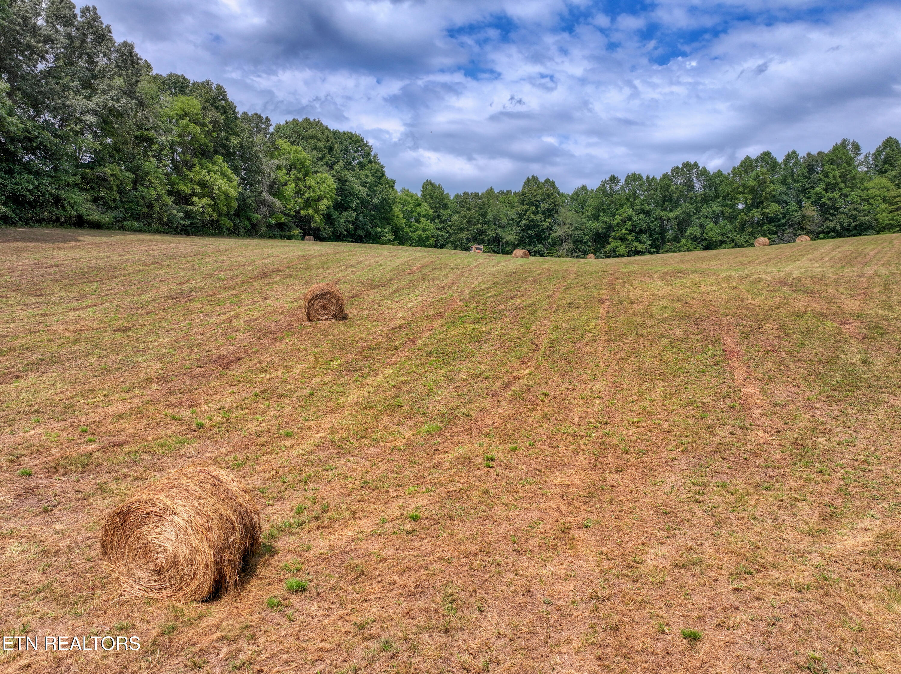 303 Tar Town Hollow Lane Lafollette TN 37766