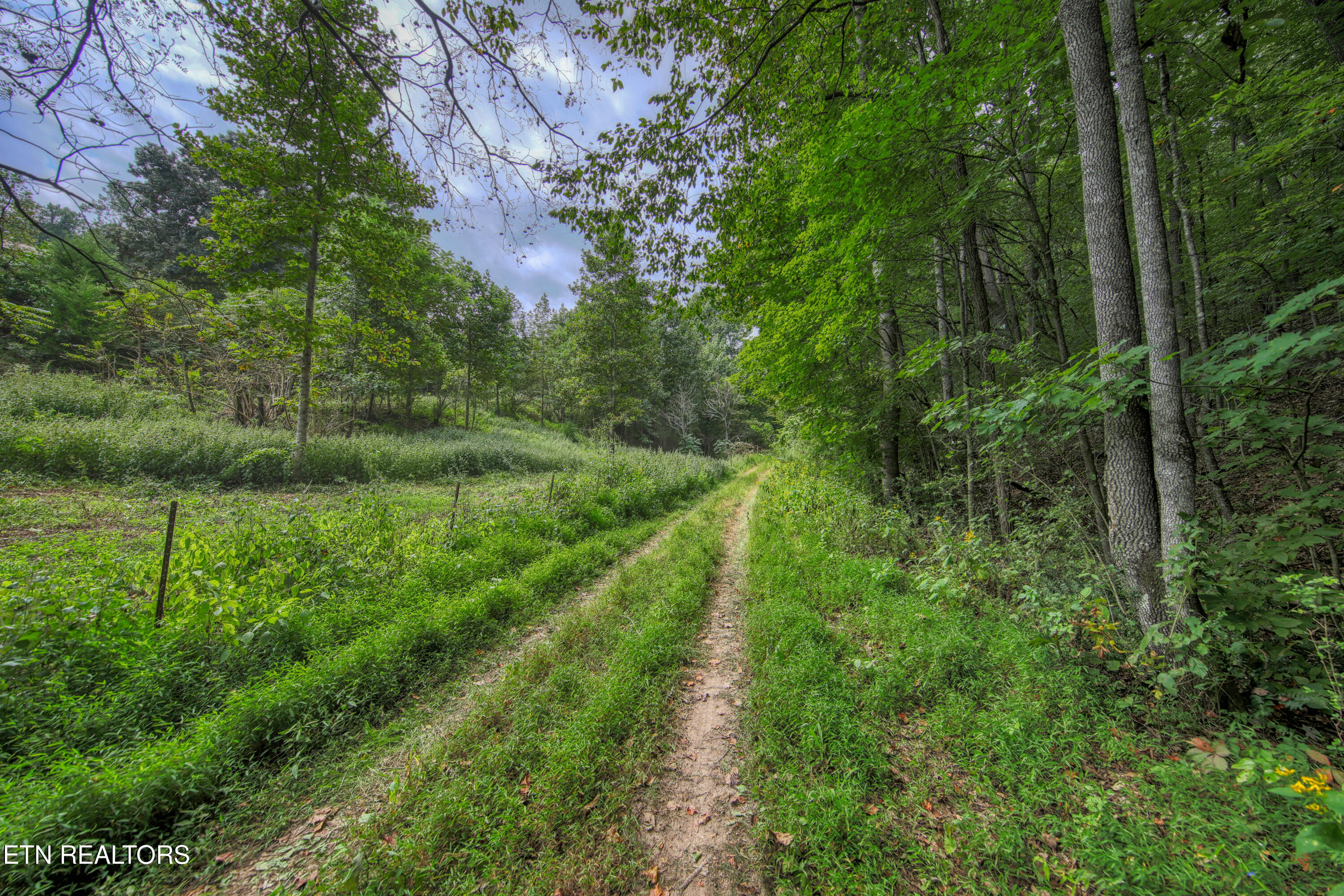 303 Tar Town Hollow Lane Lafollette TN 37766
