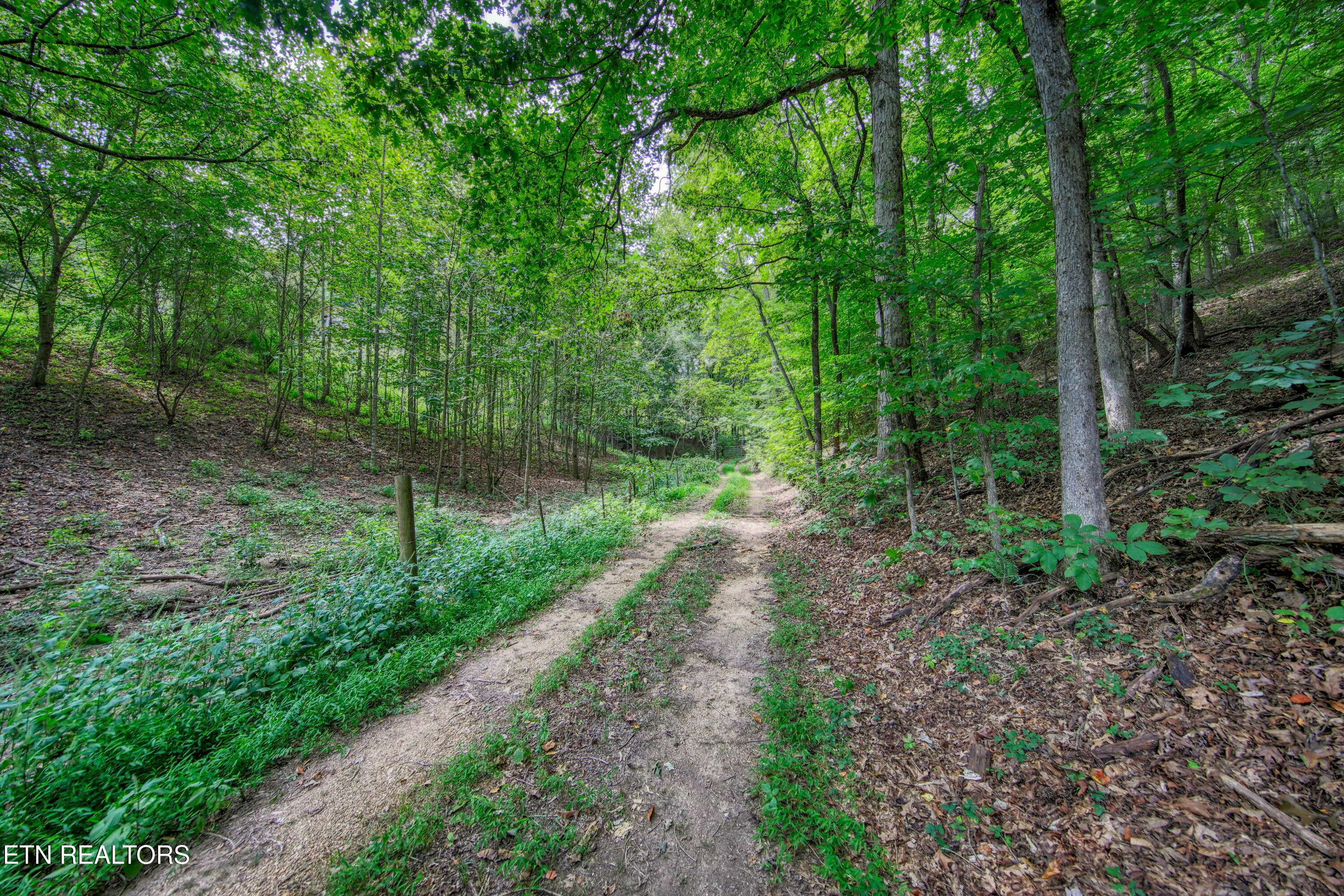 303 Tar Town Hollow Lane Lafollette TN 37766