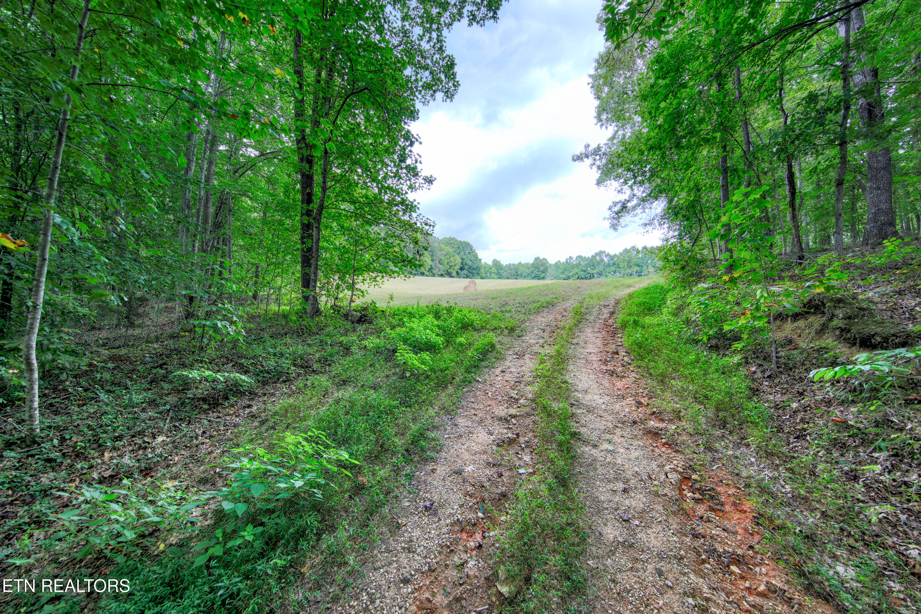 303 Tar Town Hollow Lane Lafollette TN 37766