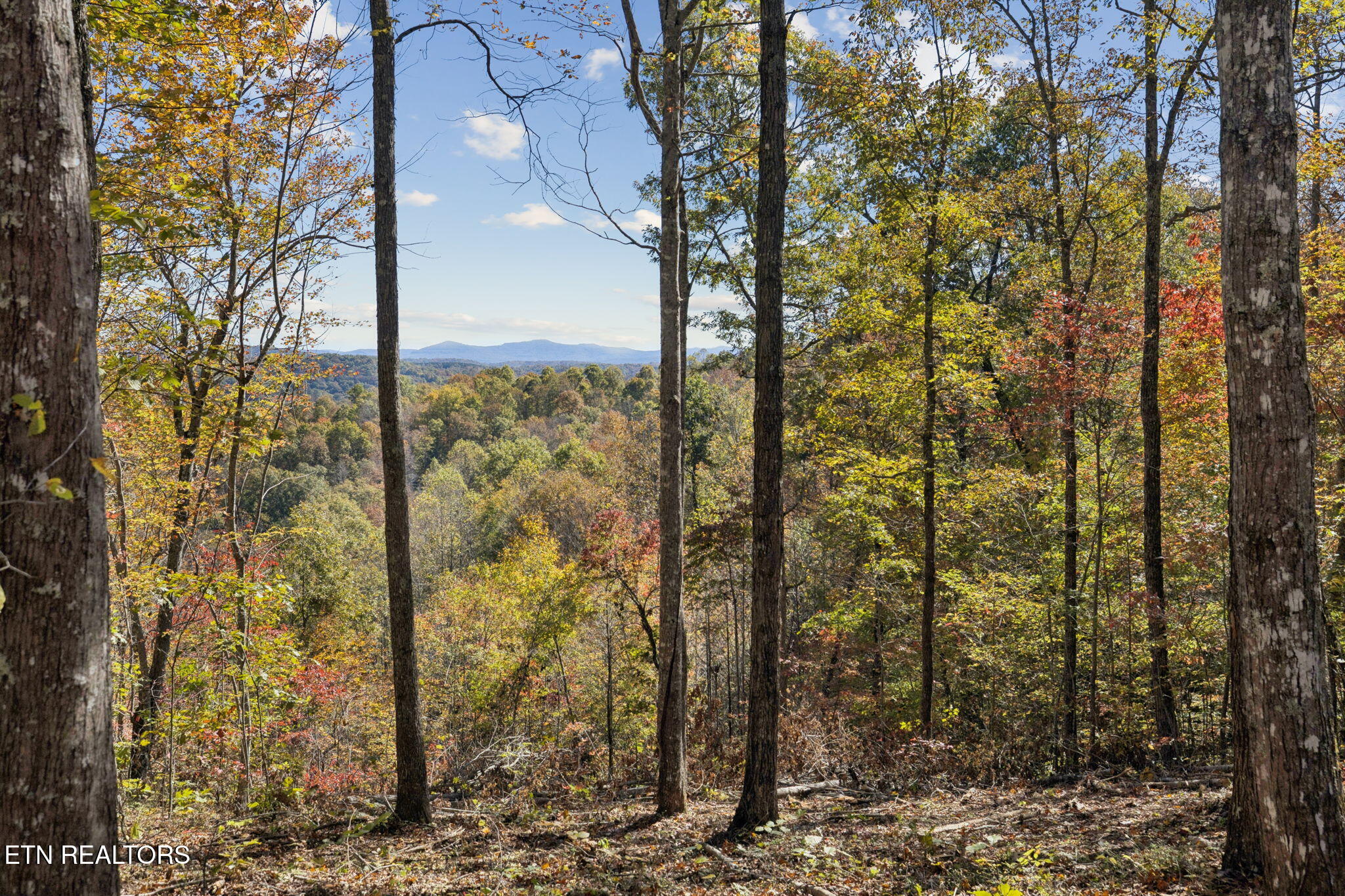Sheep Ranch Road Robbins TN 37852