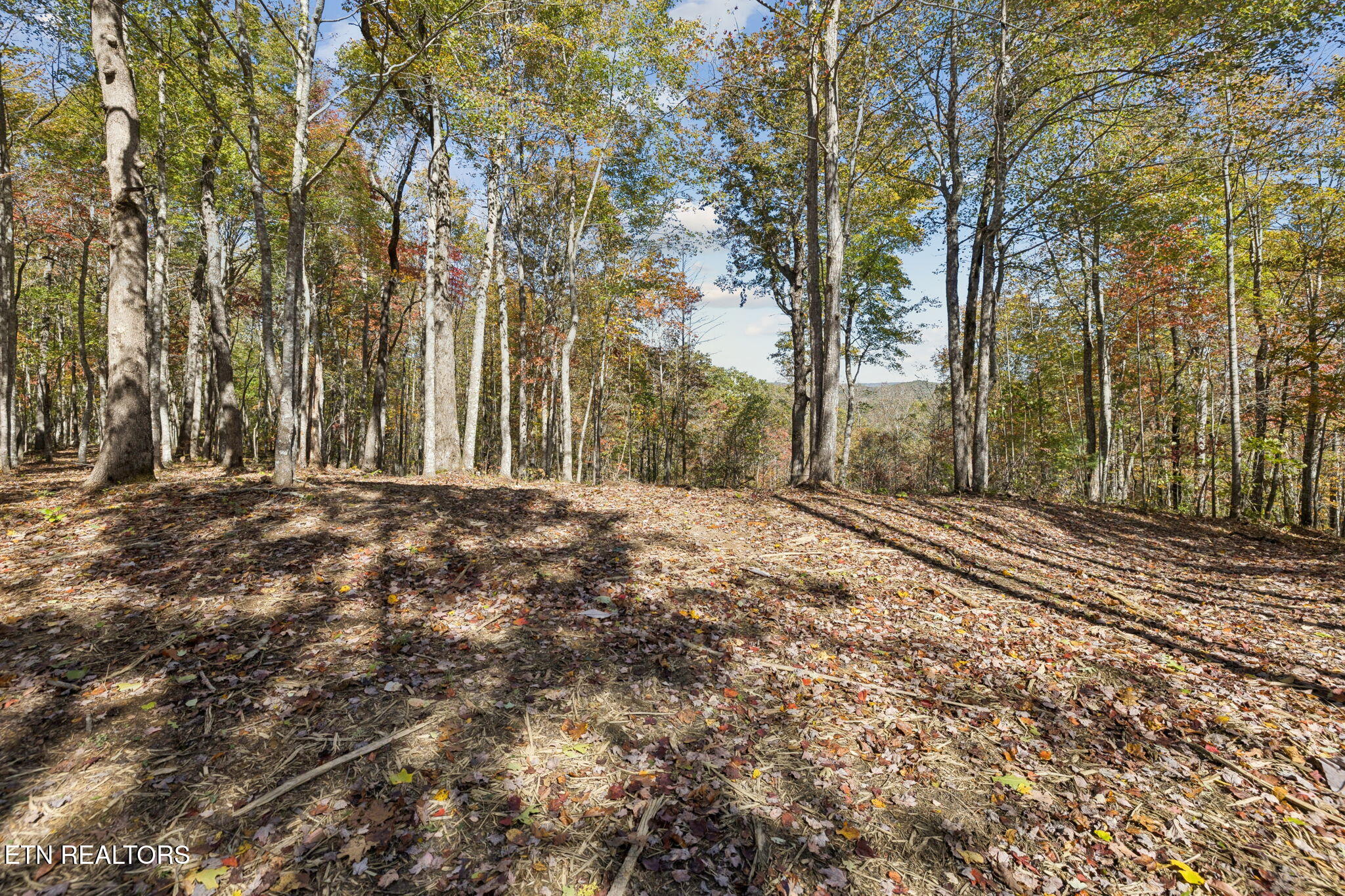 Sheep Ranch Road Robbins TN 37852
