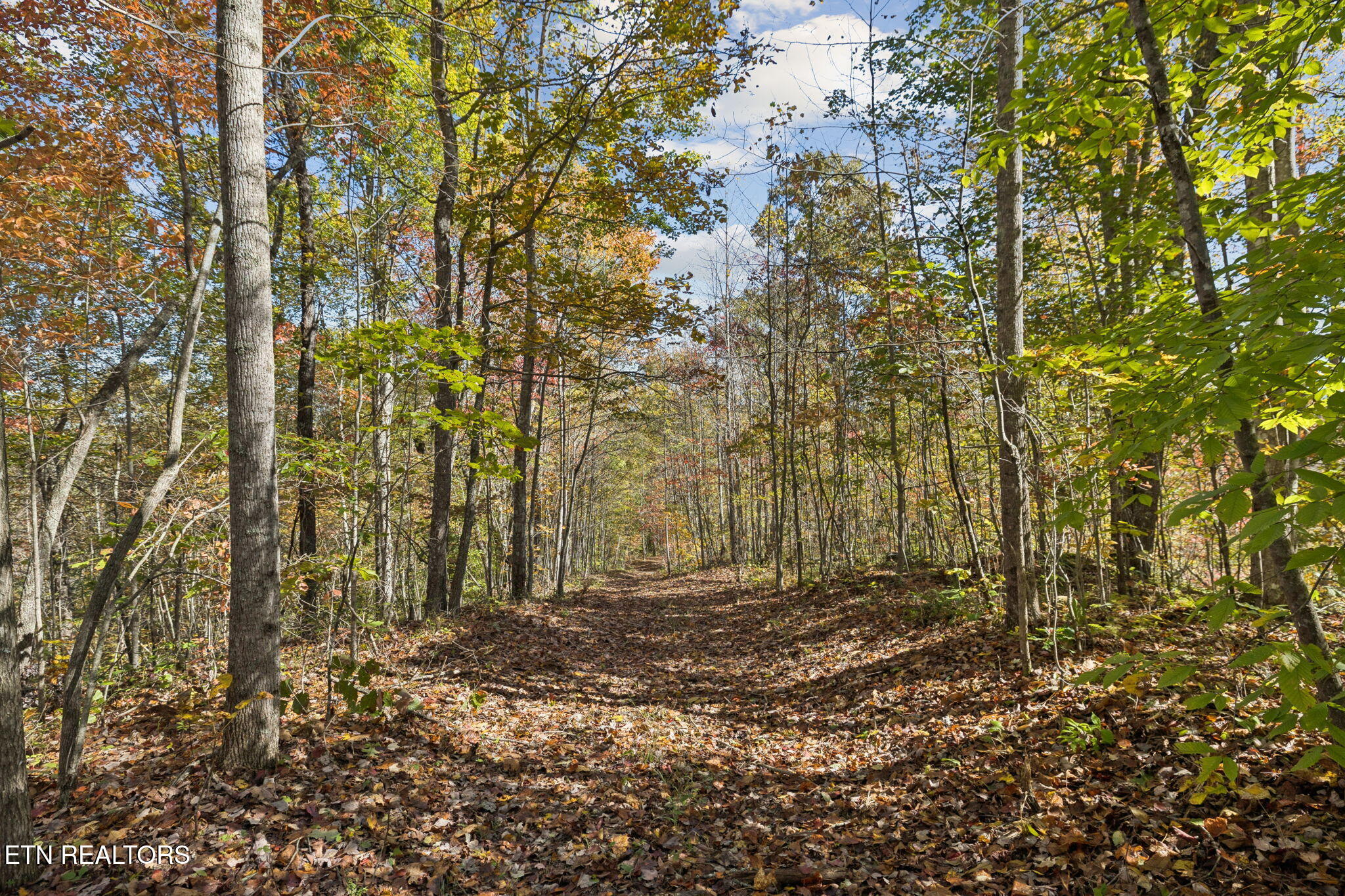 Sheep Ranch Road Robbins TN 37852