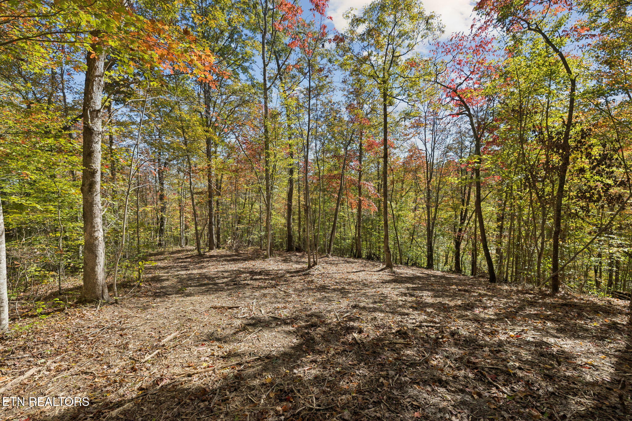 Sheep Ranch Road Robbins TN 37852