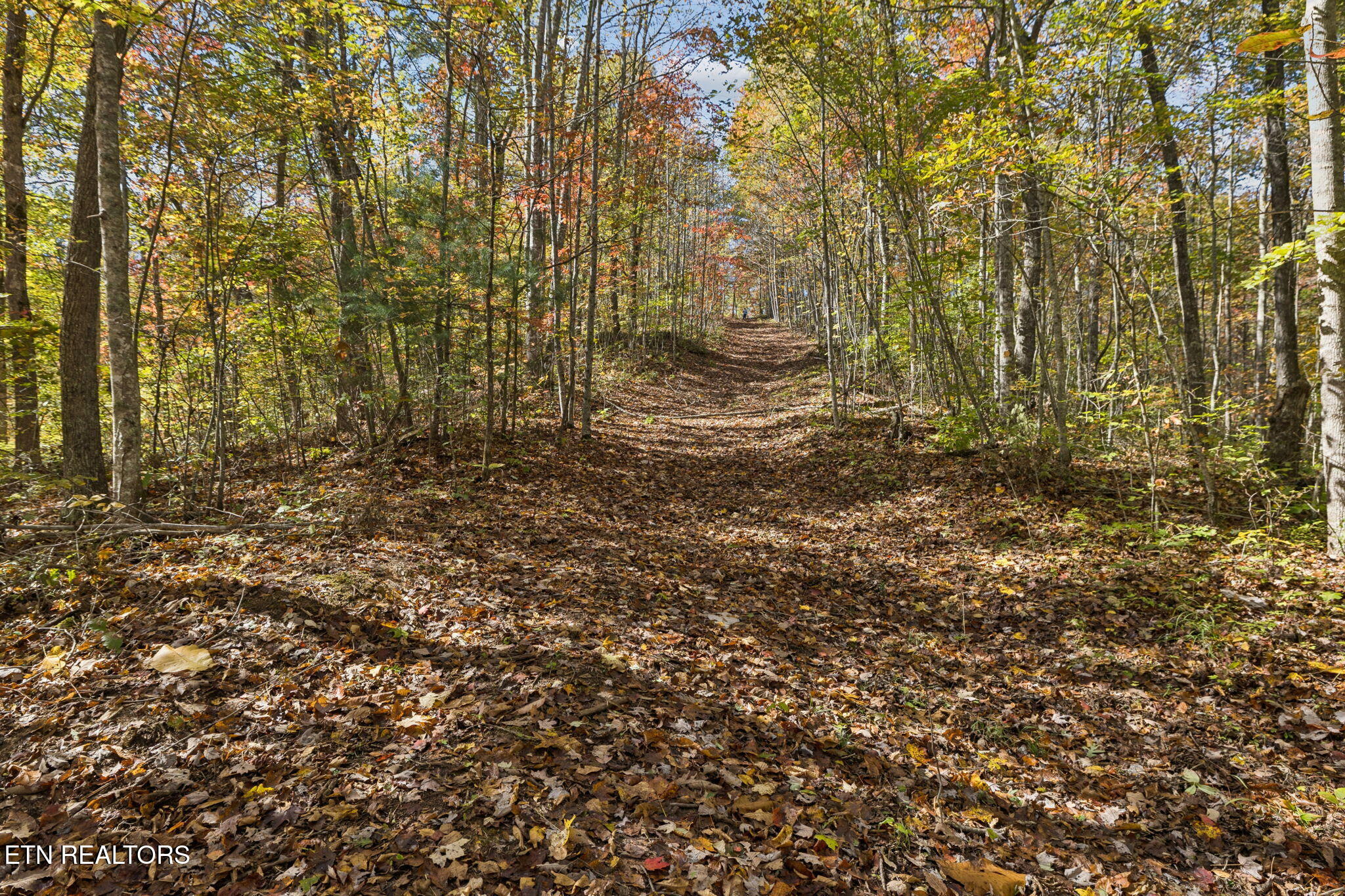 Sheep Ranch Road Robbins TN 37852