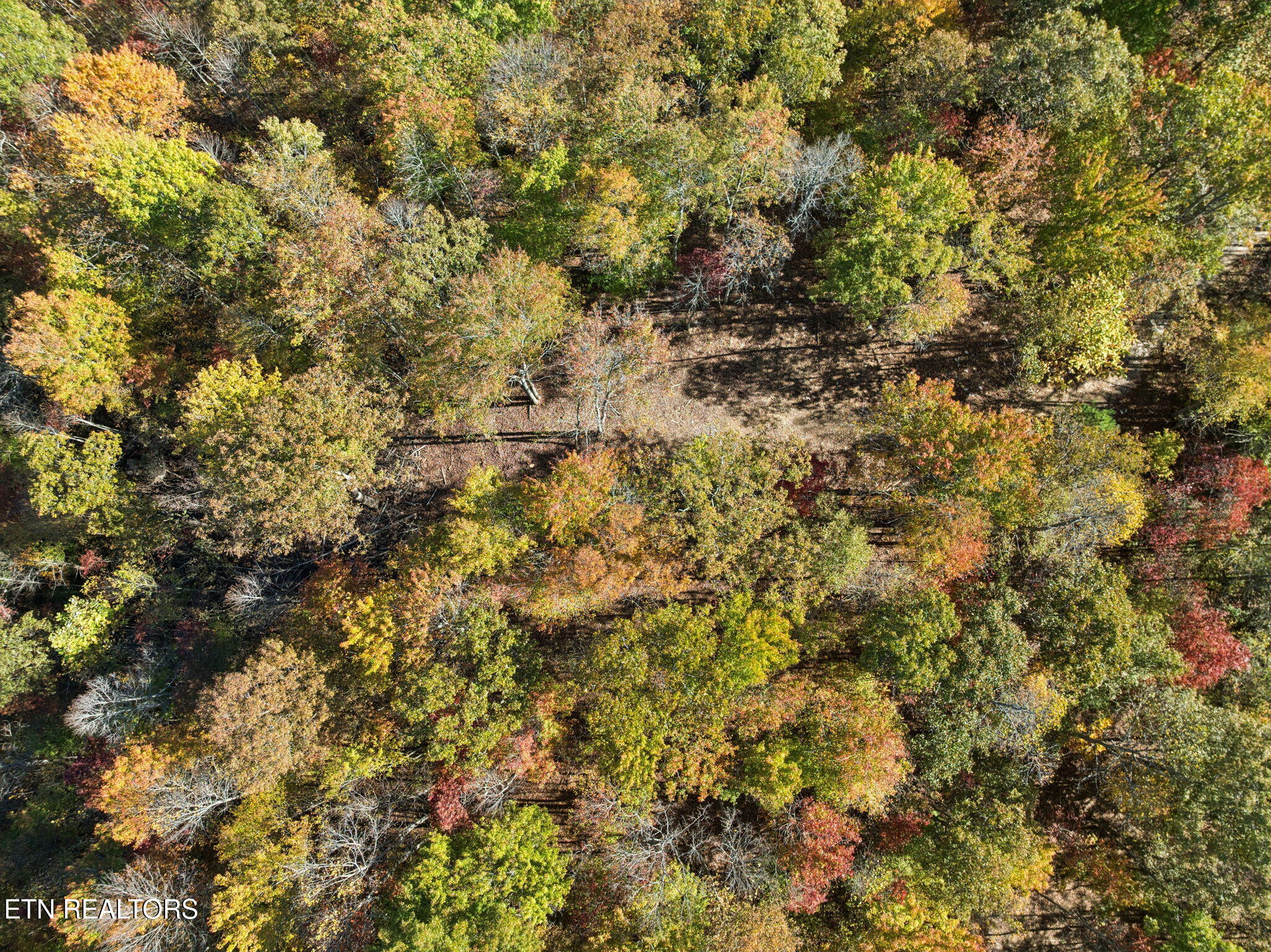 Sheep Ranch Road Robbins TN 37852