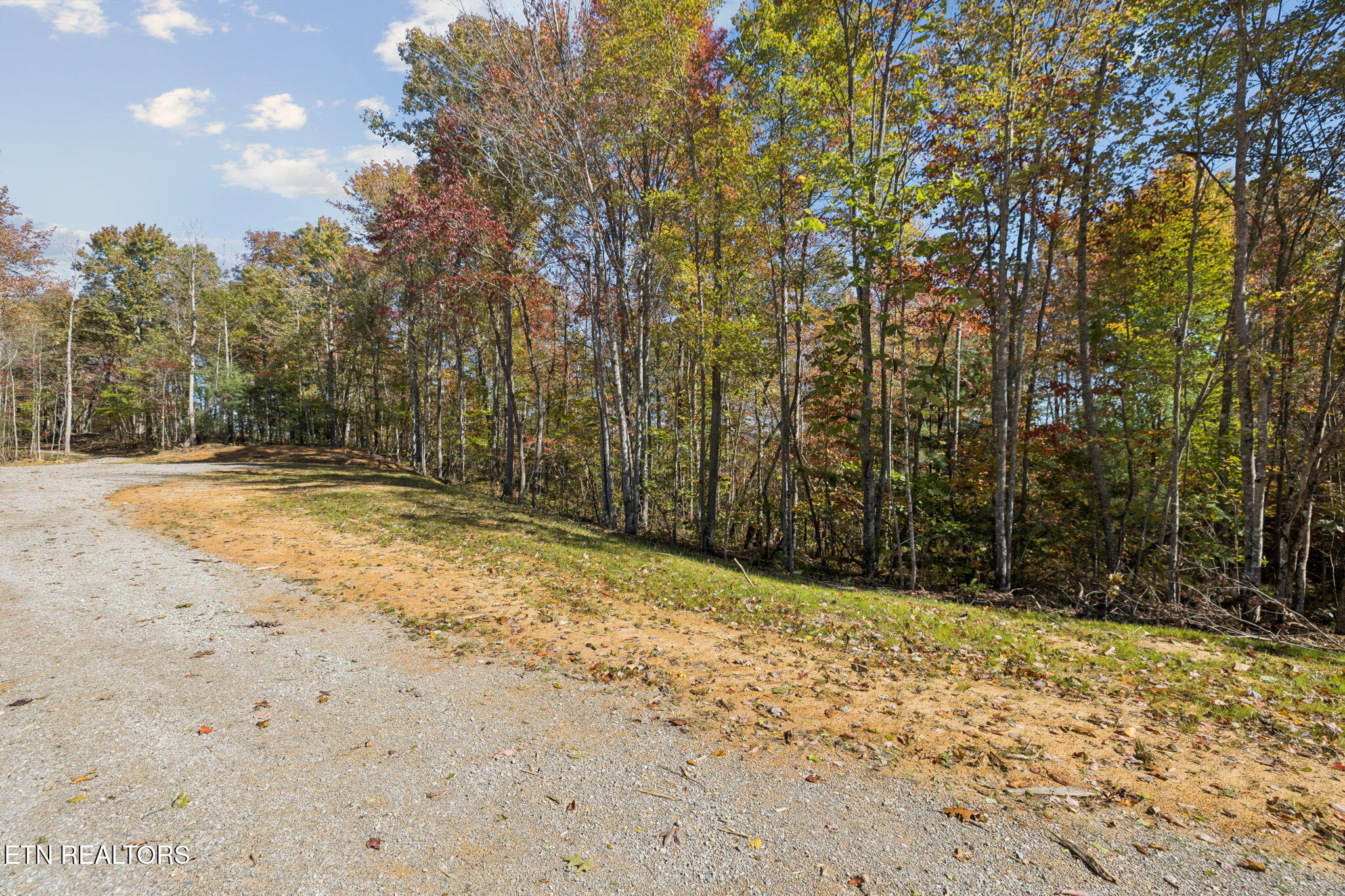 Sheep Ranch Road Robbins TN 37852