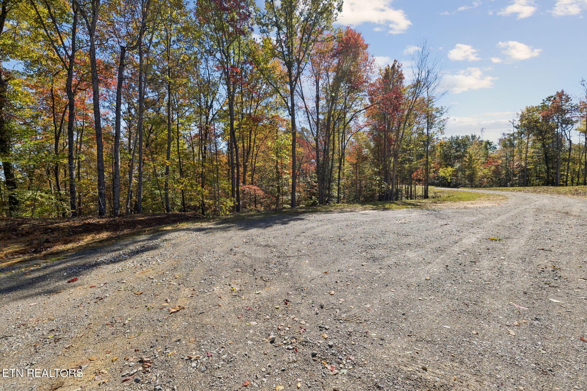 Sheep Ranch Road Robbins TN 37852