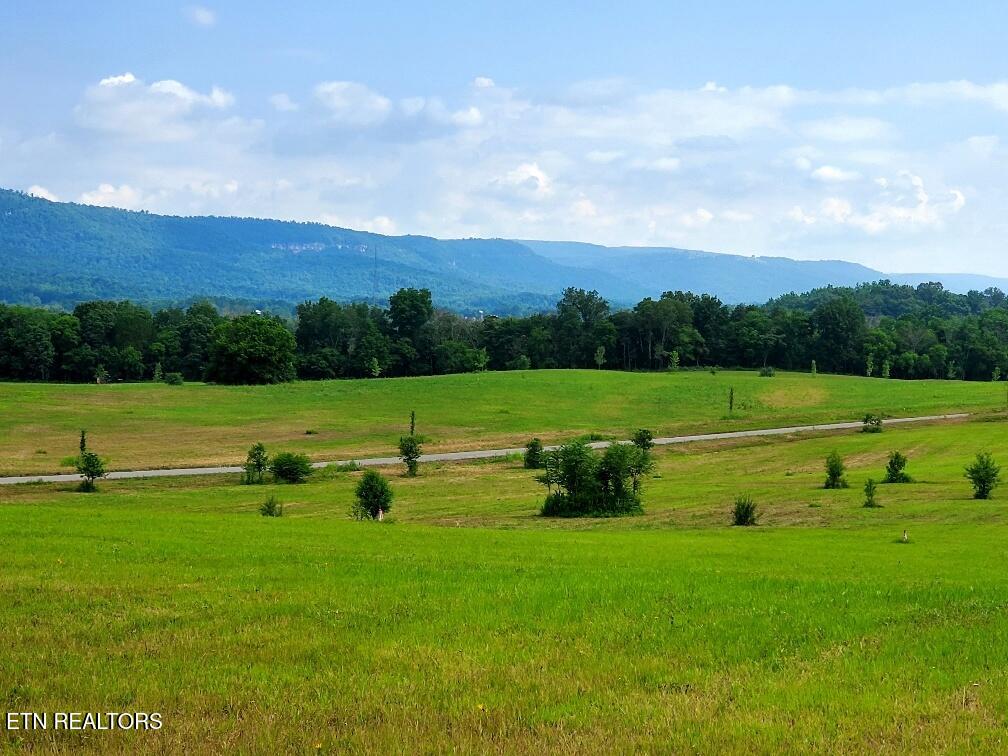 48 River Ridge Drive Dunlap TN 37327