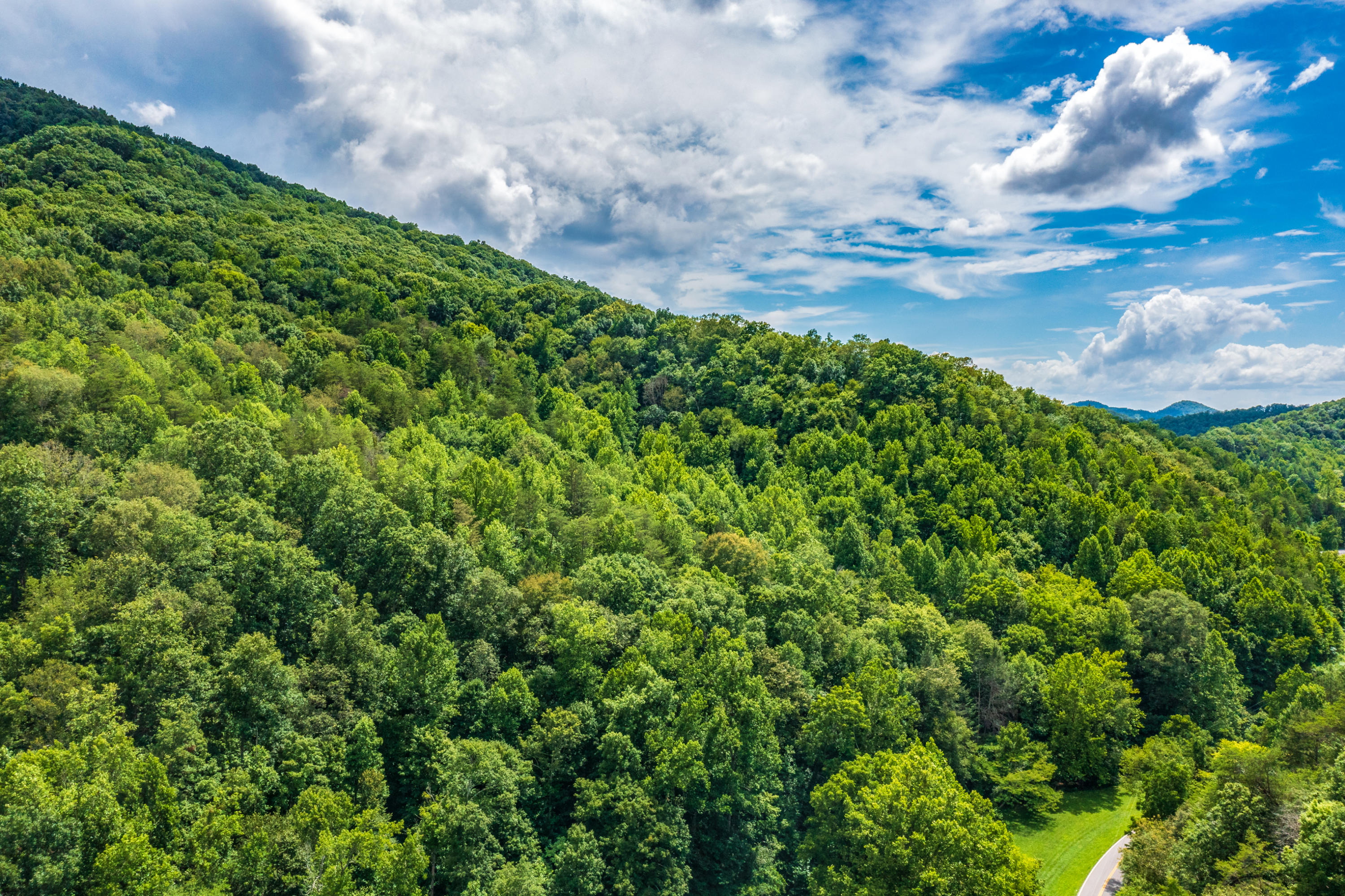 Spruce Pine (330 Acres) Road Mooresburg TN 37811