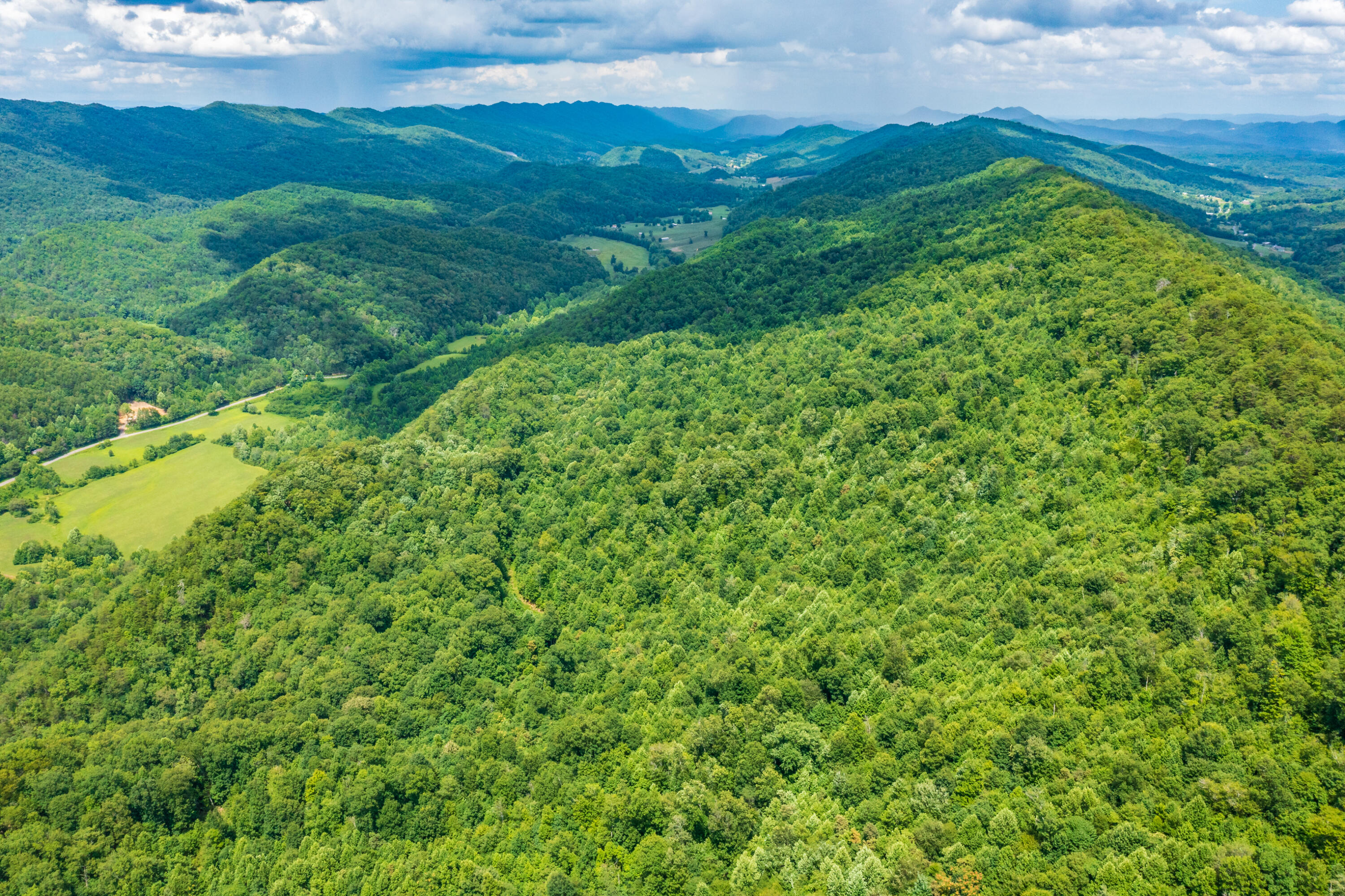 Spruce Pine (330 Acres) Road Mooresburg TN 37811
