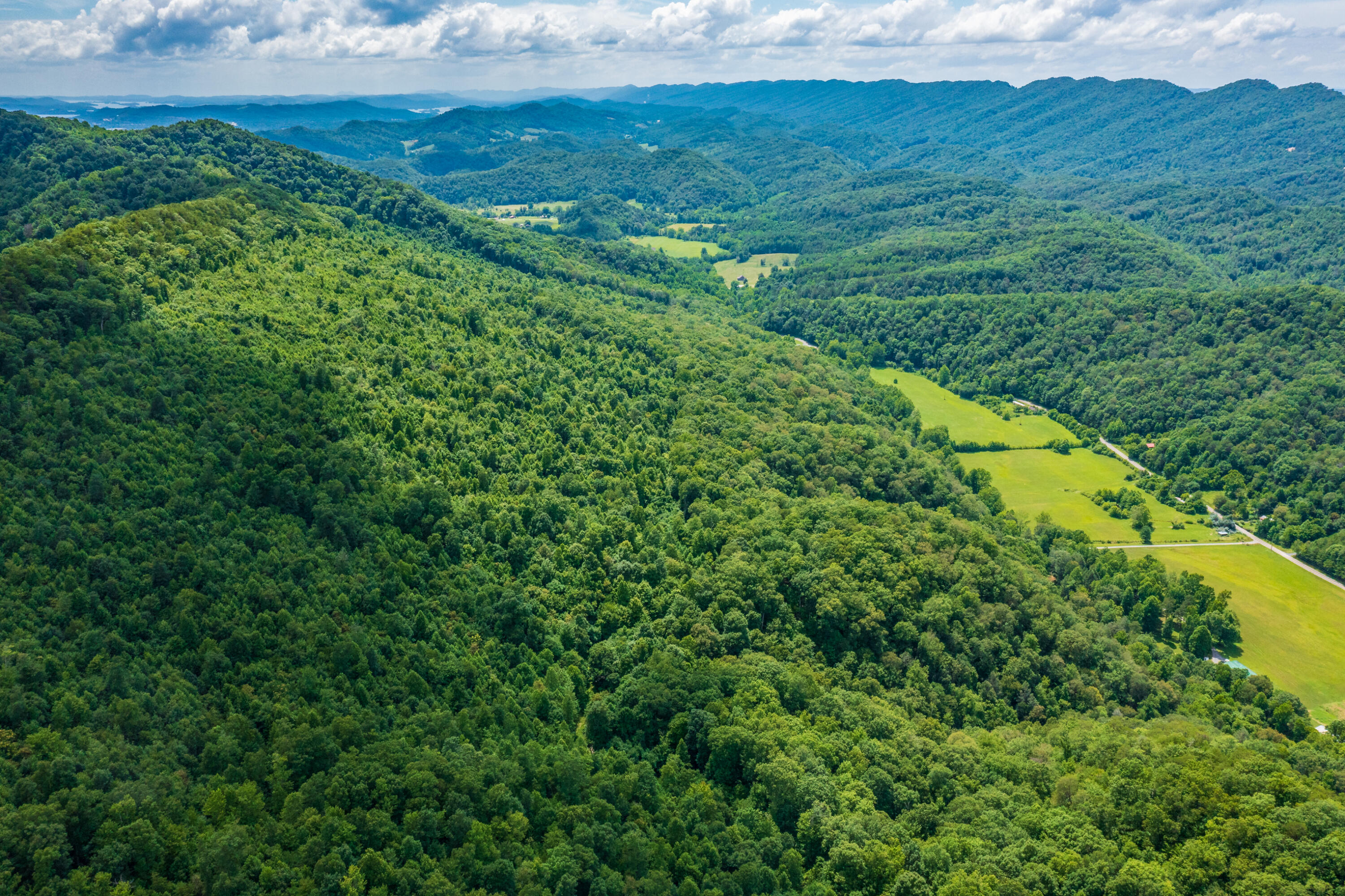 Spruce Pine (330 Acres) Road Mooresburg TN 37811