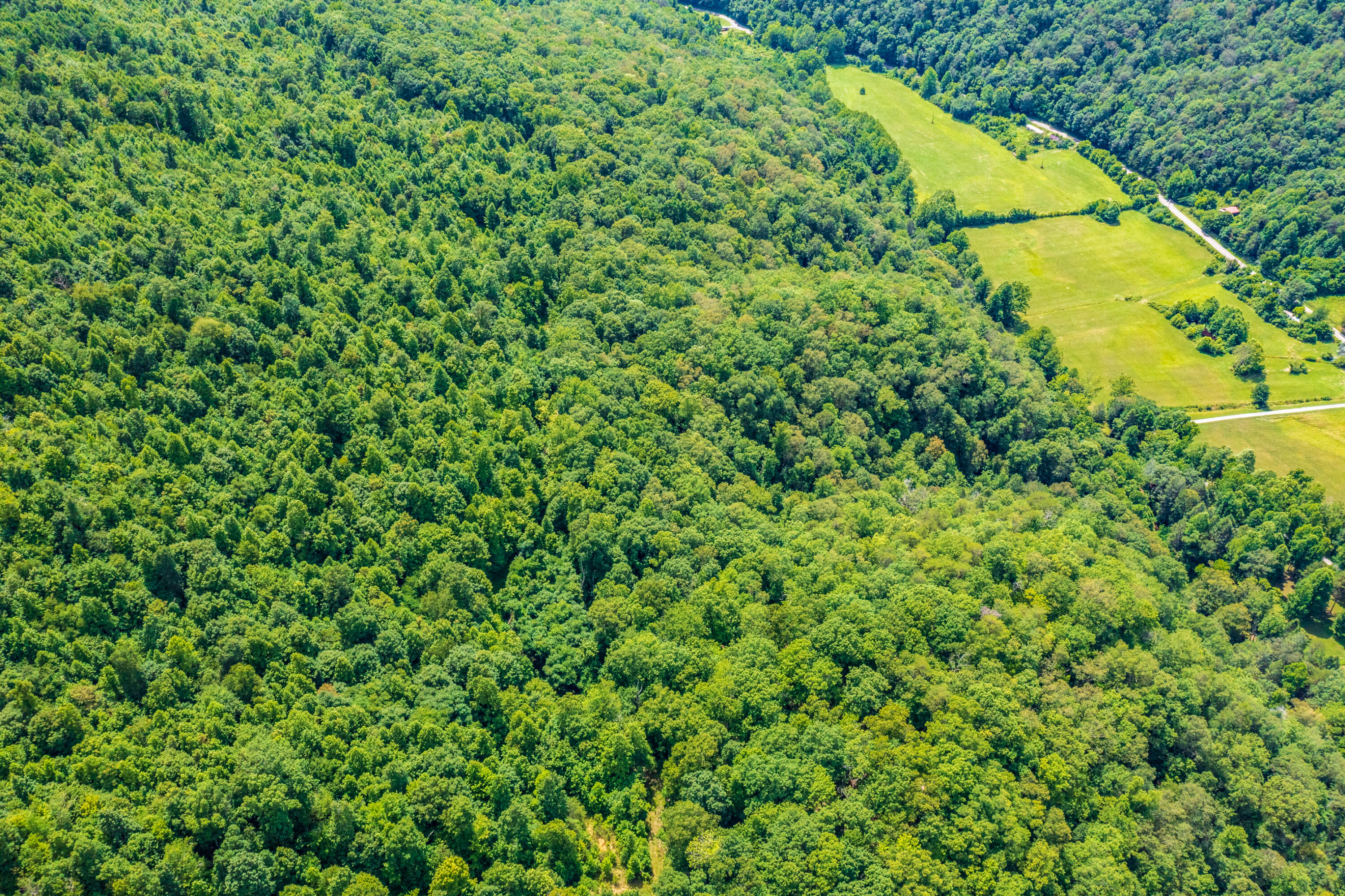 Spruce Pine (330 Acres) Road Mooresburg TN 37811