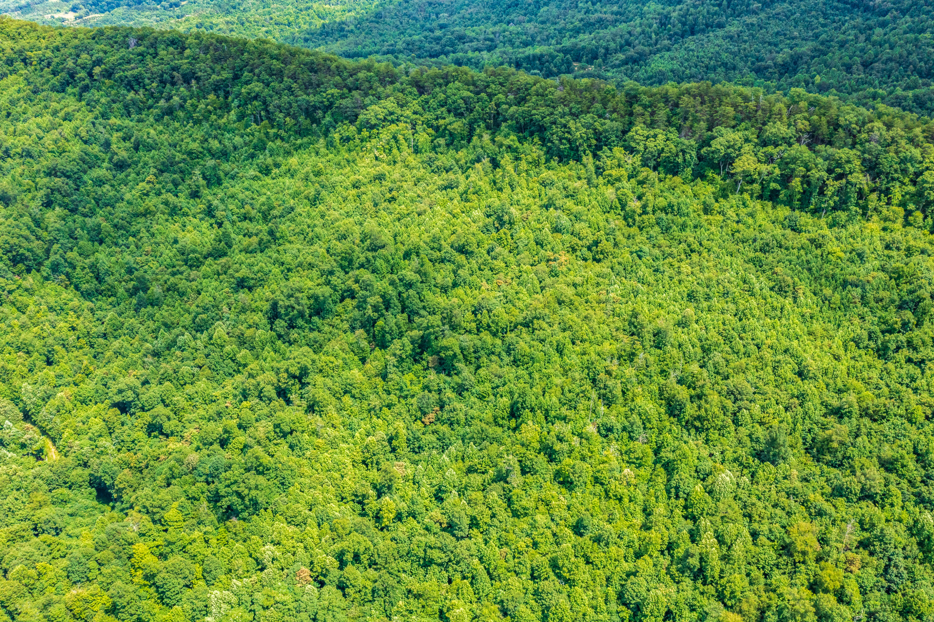 Spruce Pine (330 Acres) Road Mooresburg TN 37811