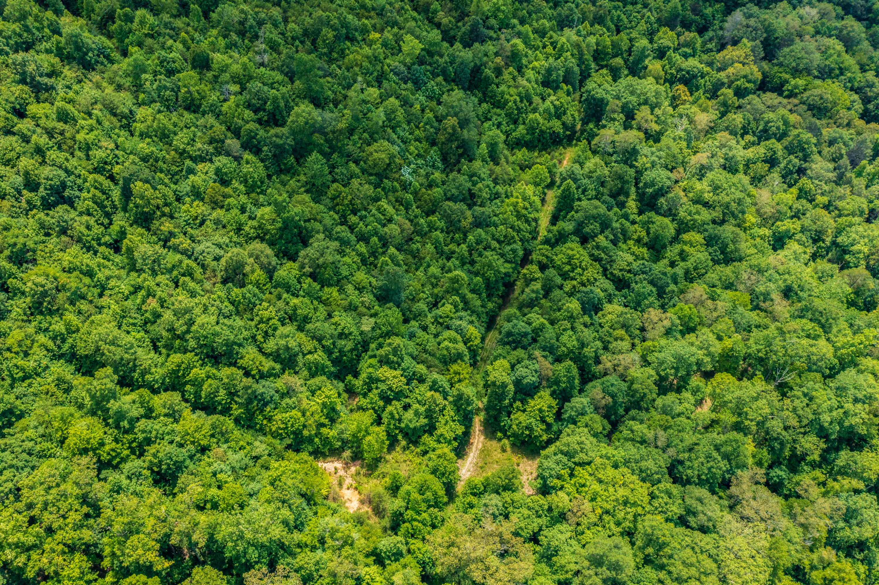 Spruce Pine (330 Acres) Road Mooresburg TN 37811