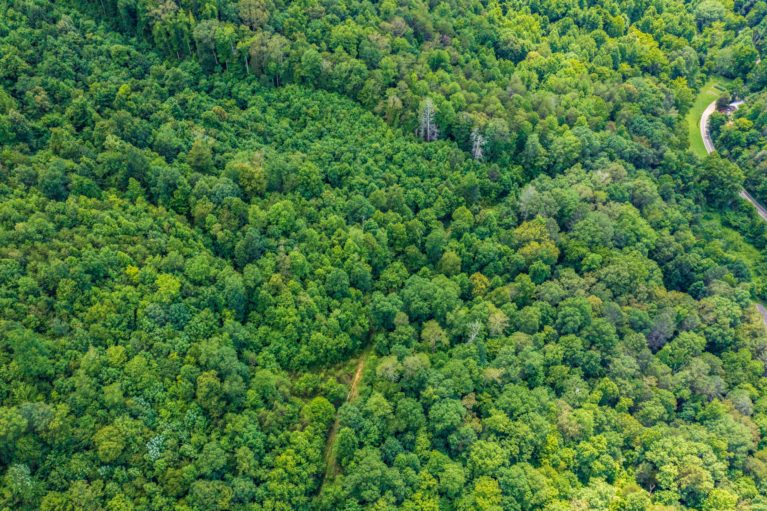 Spruce Pine (330 Acres) Road Mooresburg TN 37811