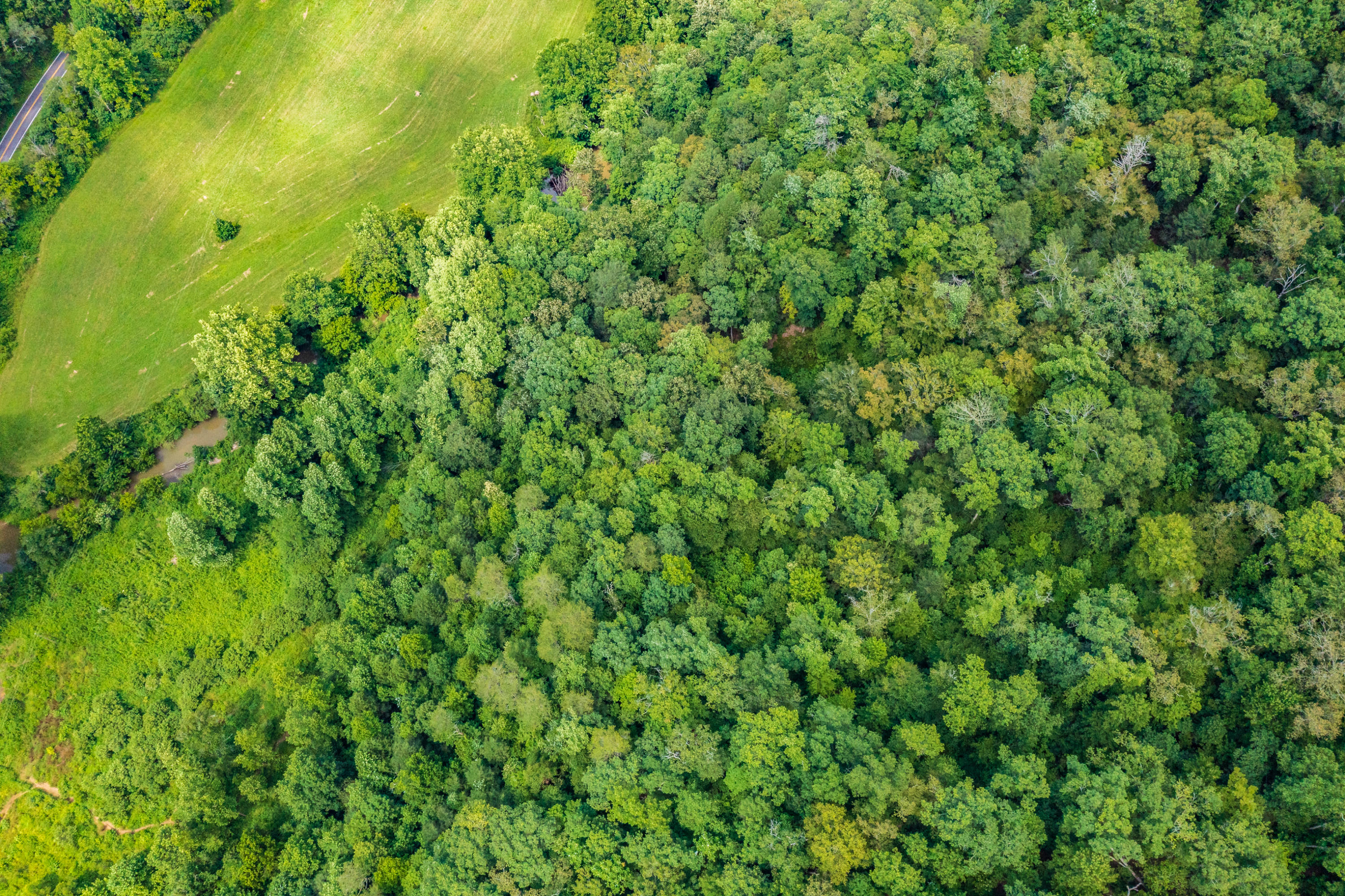 Spruce Pine (330 Acres) Road Mooresburg TN 37811