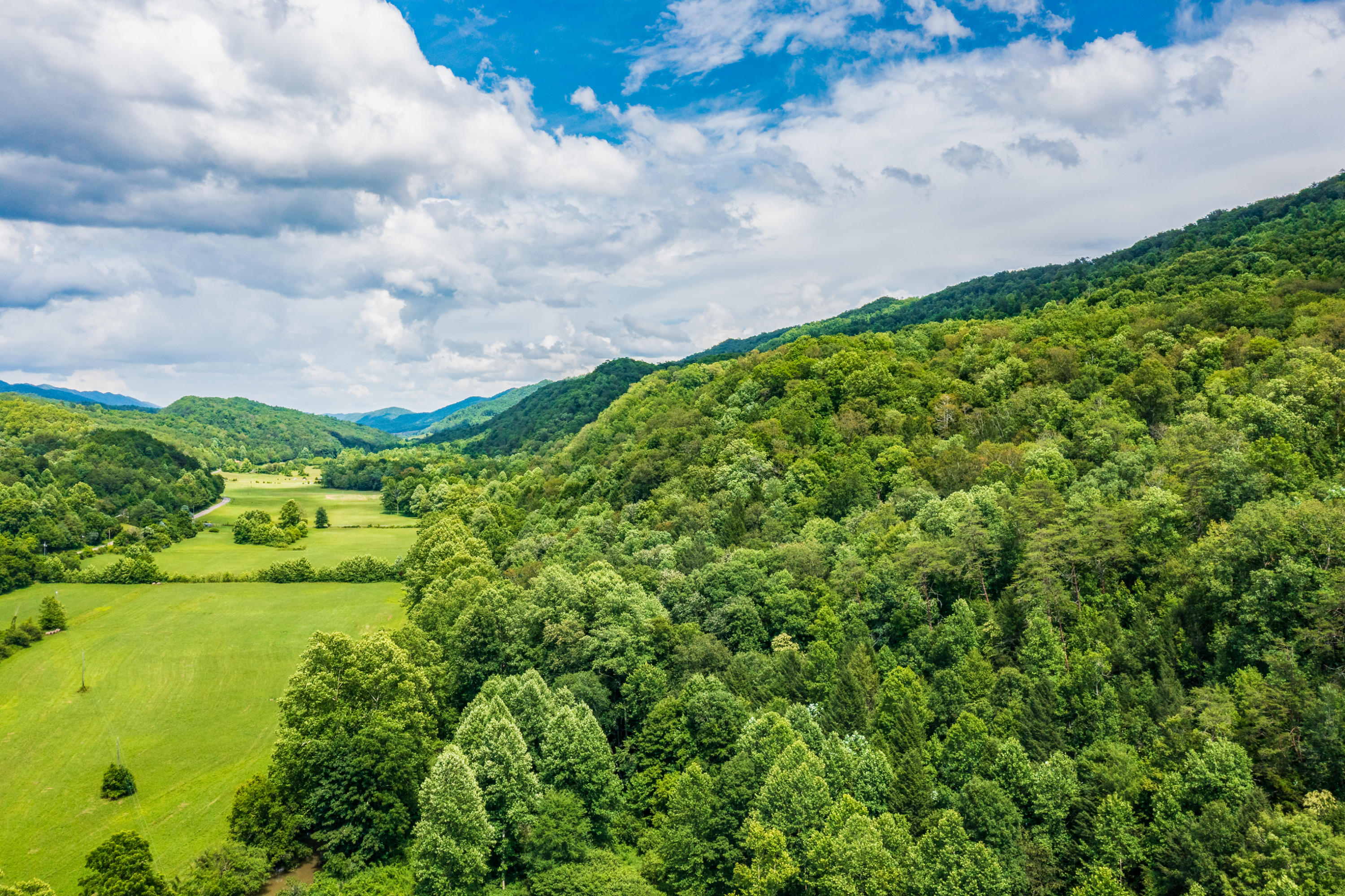 Spruce Pine (330 Acres) Road Mooresburg TN 37811