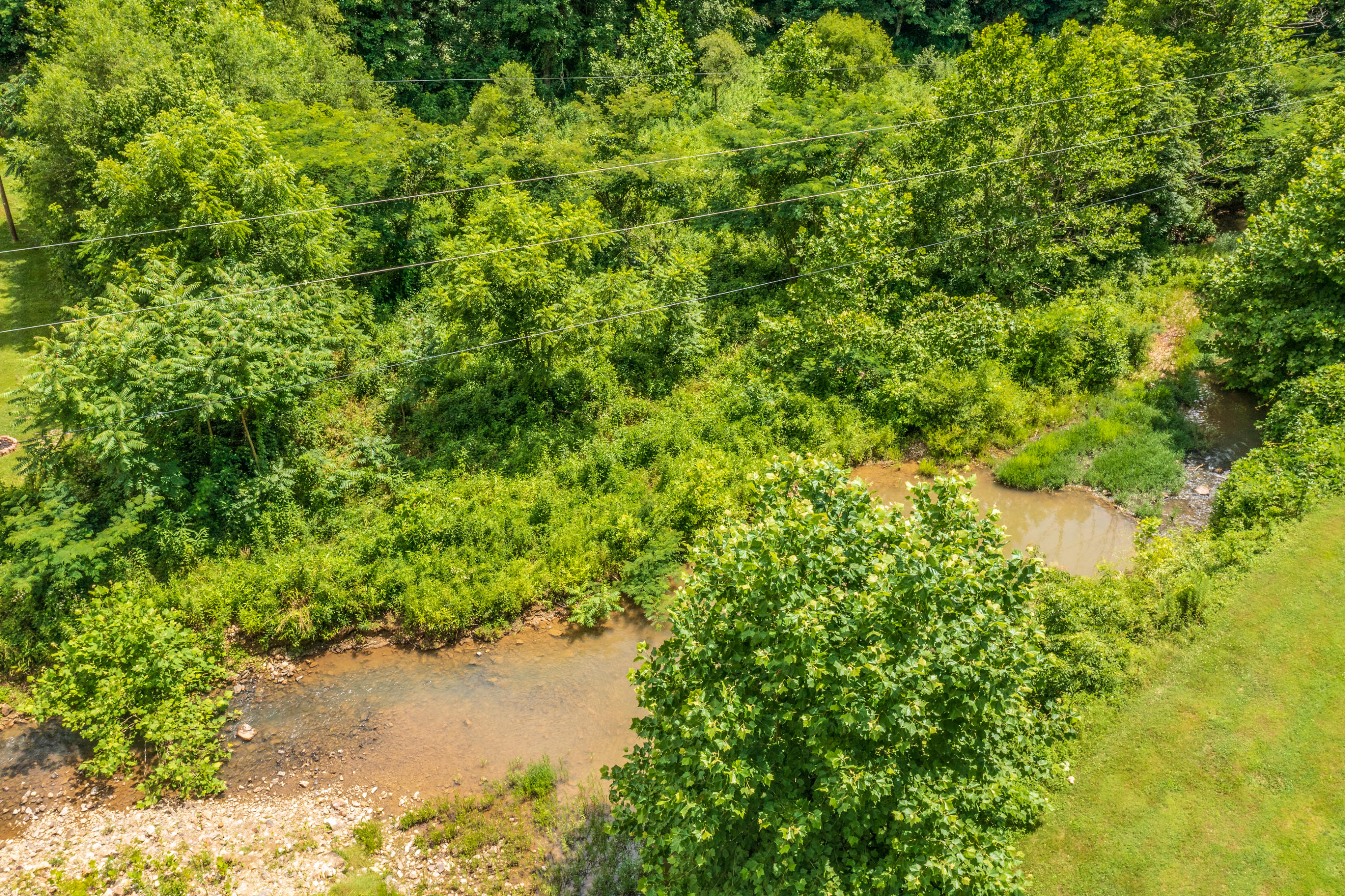 Spruce Pine (330 Acres) Road Mooresburg TN 37811