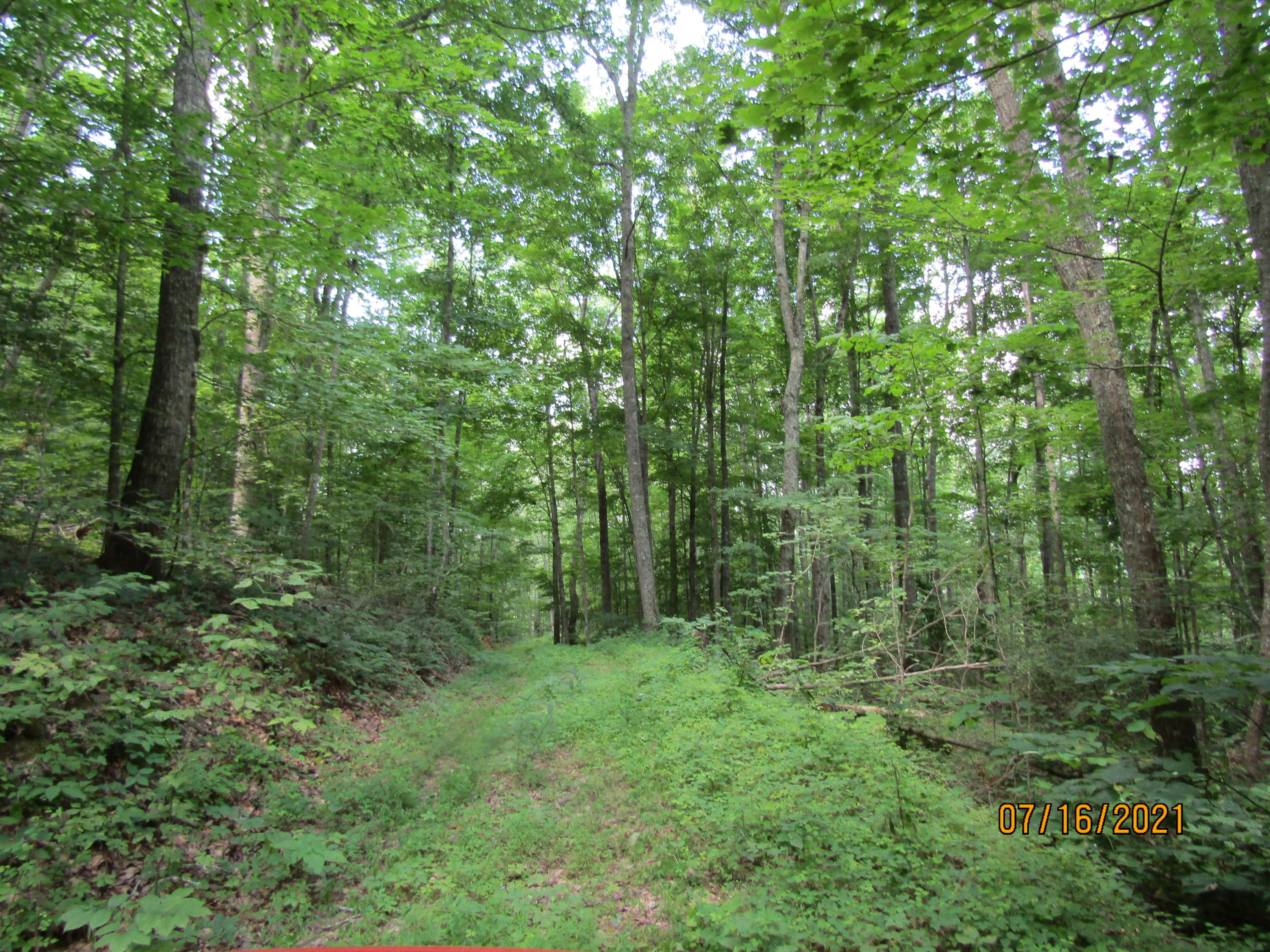 Spruce Pine (330 Acres) Road Mooresburg TN 37811