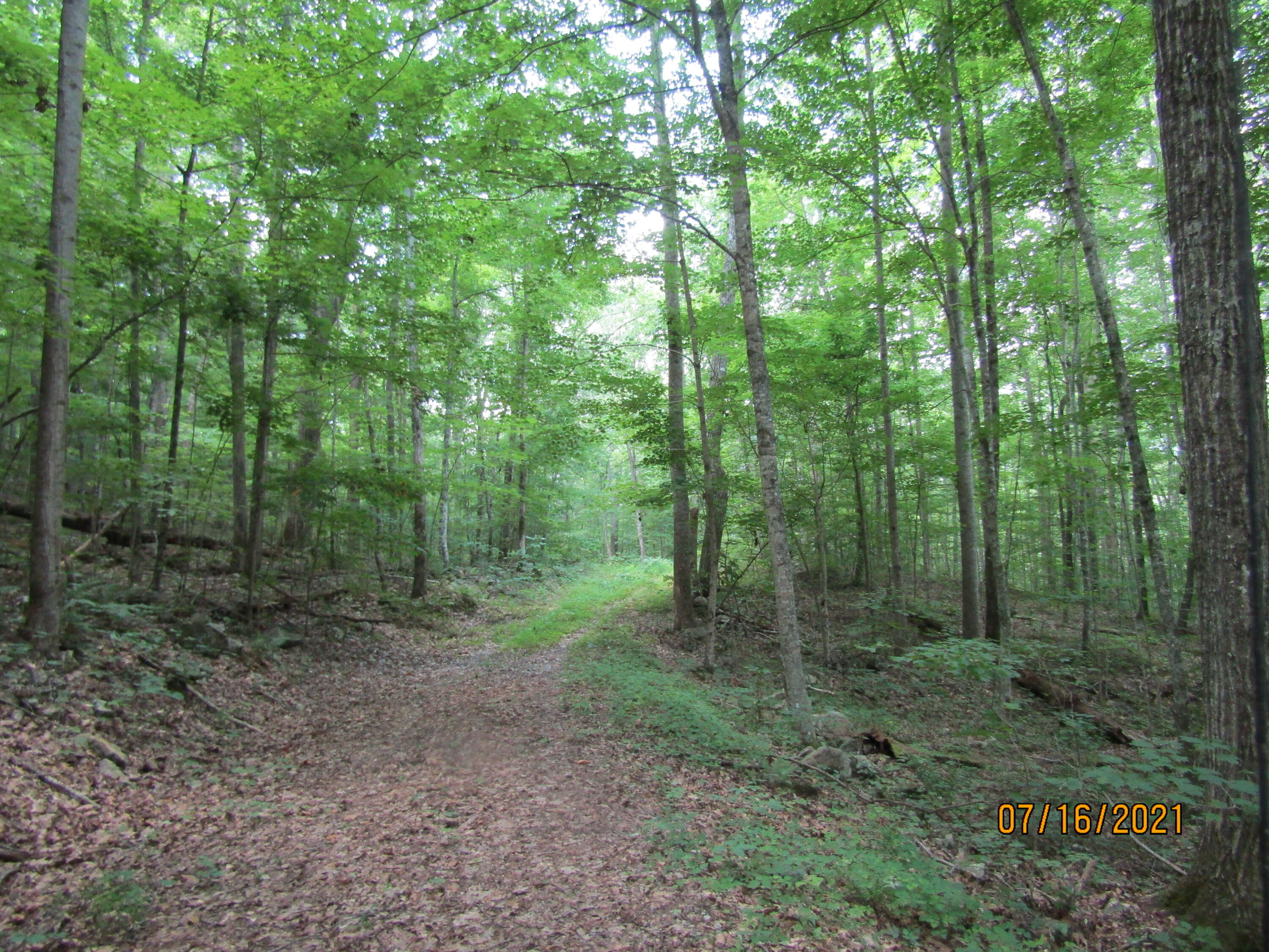 Spruce Pine (330 Acres) Road Mooresburg TN 37811