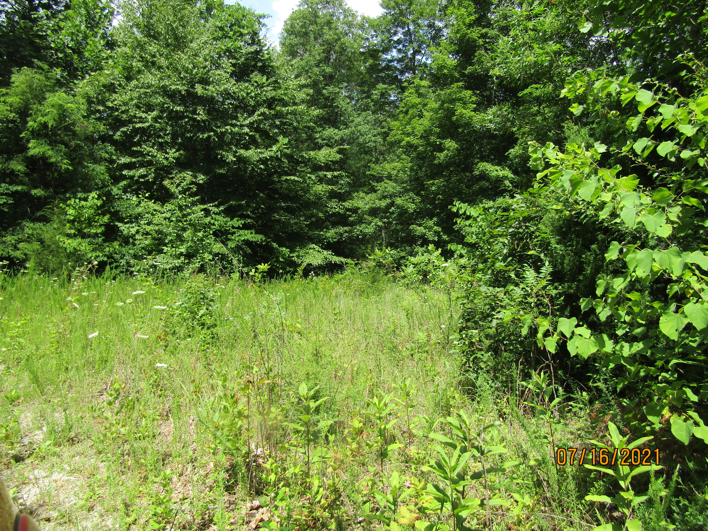 Spruce Pine (330 Acres) Road Mooresburg TN 37811