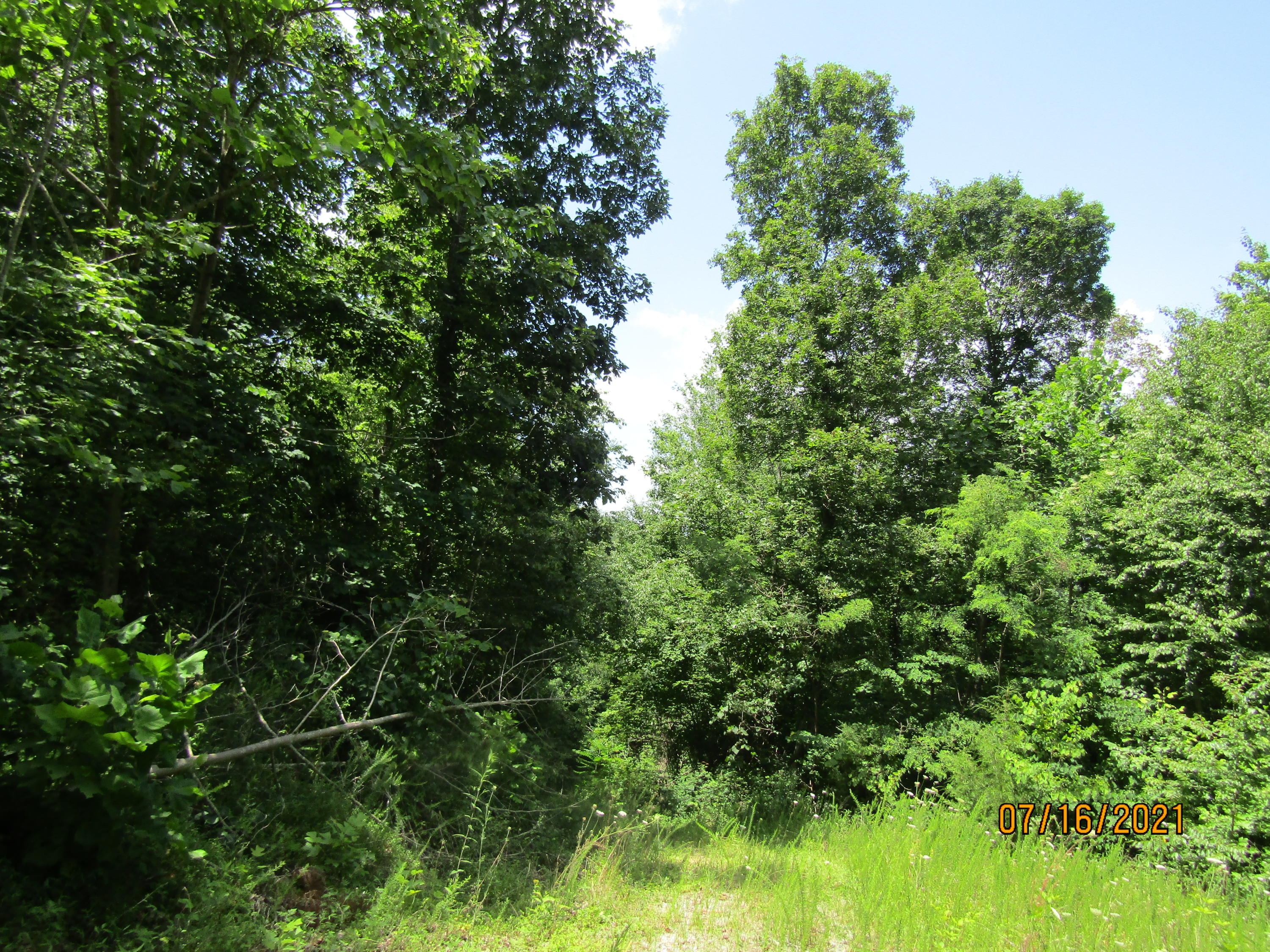 Spruce Pine (330 Acres) Road Mooresburg TN 37811