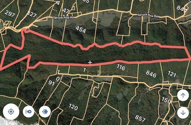 Spruce Pine (330 Acres) Road Mooresburg TN 37811