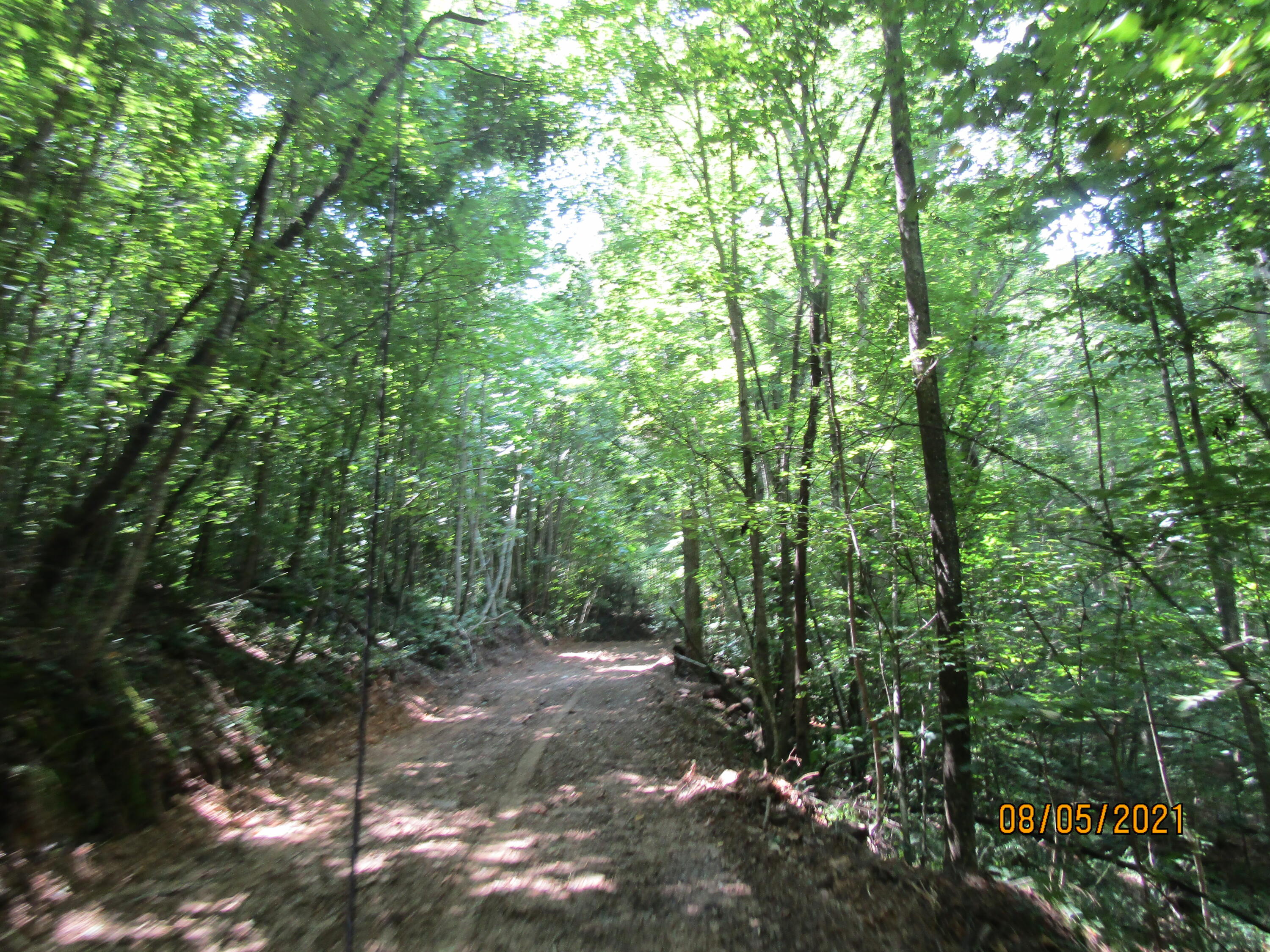 Spruce Pine (330 Acres) Road Mooresburg TN 37811