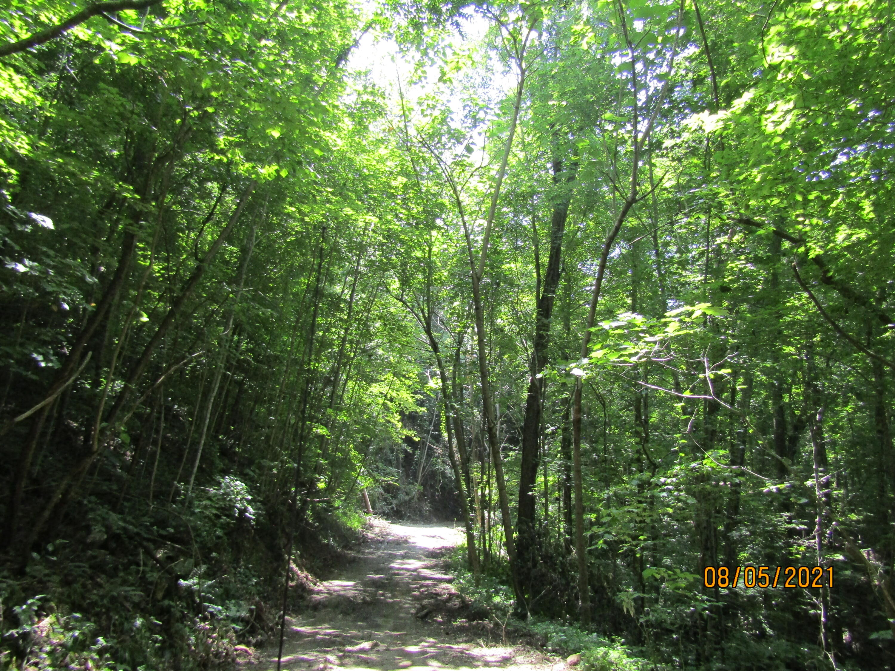 Spruce Pine (330 Acres) Road Mooresburg TN 37811