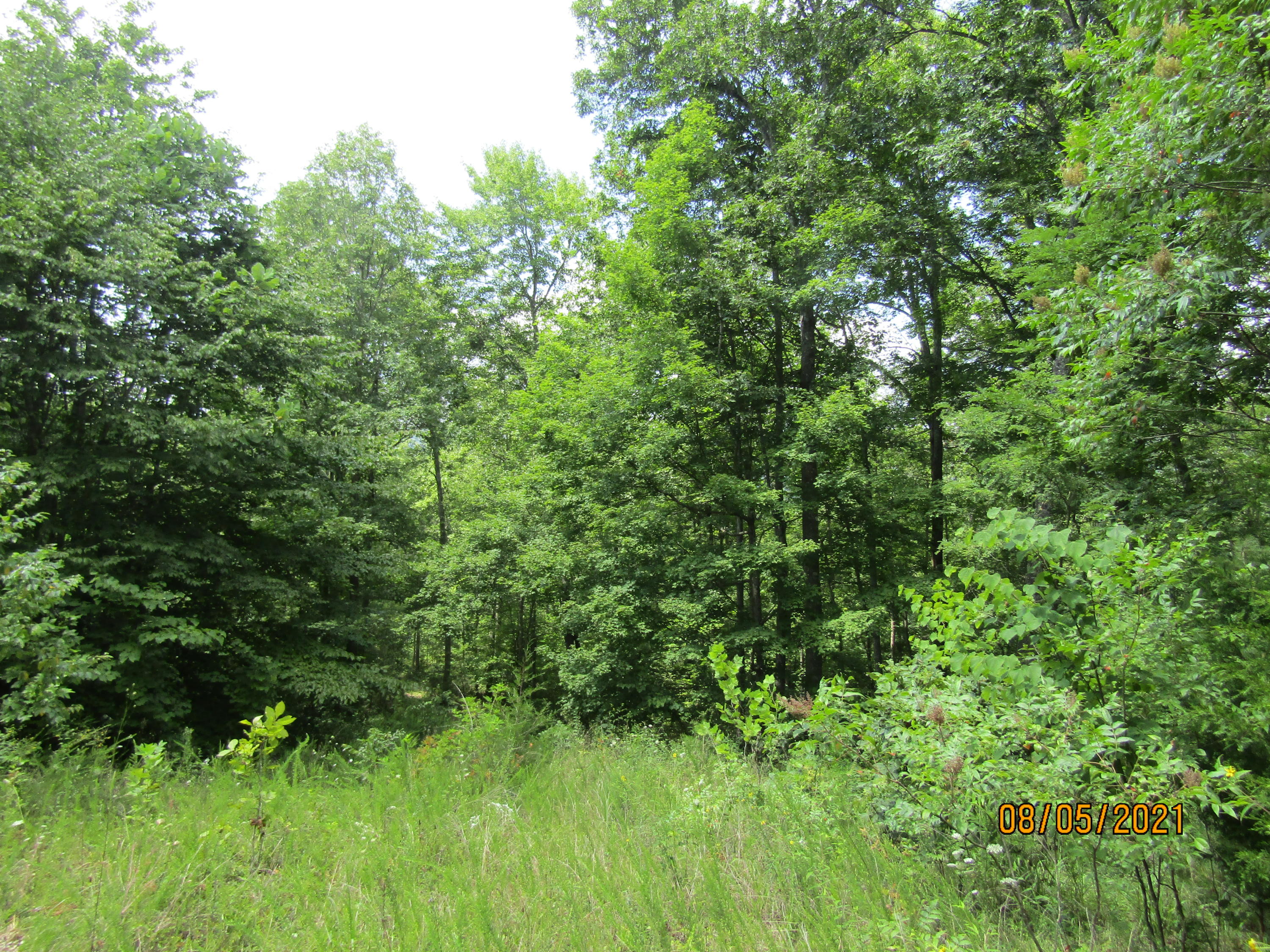 Spruce Pine (330 Acres) Road Mooresburg TN 37811
