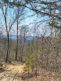 Spruce Pine (330 Acres) Road Mooresburg TN 37811