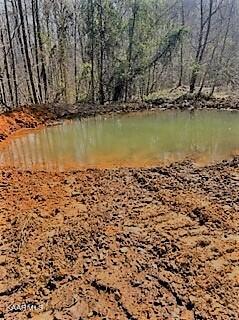 Spruce Pine (330 Acres) Road Mooresburg TN 37811