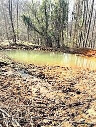 Spruce Pine (330 Acres) Road Mooresburg TN 37811