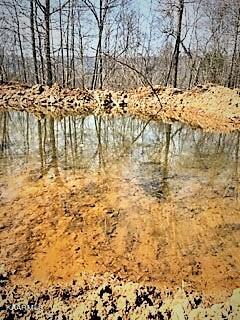 Spruce Pine (330 Acres) Road Mooresburg TN 37811