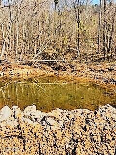 Spruce Pine (330 Acres) Road Mooresburg TN 37811