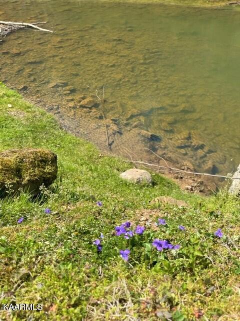 Spruce Pine (330 Acres) Road Mooresburg TN 37811