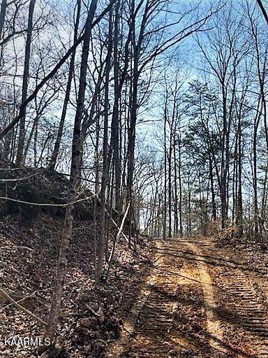 Spruce Pine (330 Acres) Road Mooresburg TN 37811