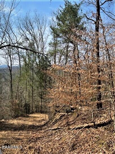 Spruce Pine (330 Acres) Road Mooresburg TN 37811