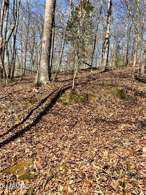Spruce Pine (330 Acres) Road Mooresburg TN 37811