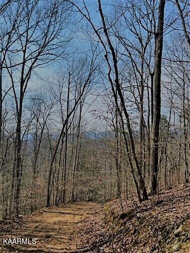 Spruce Pine (330 Acres) Road Mooresburg TN 37811