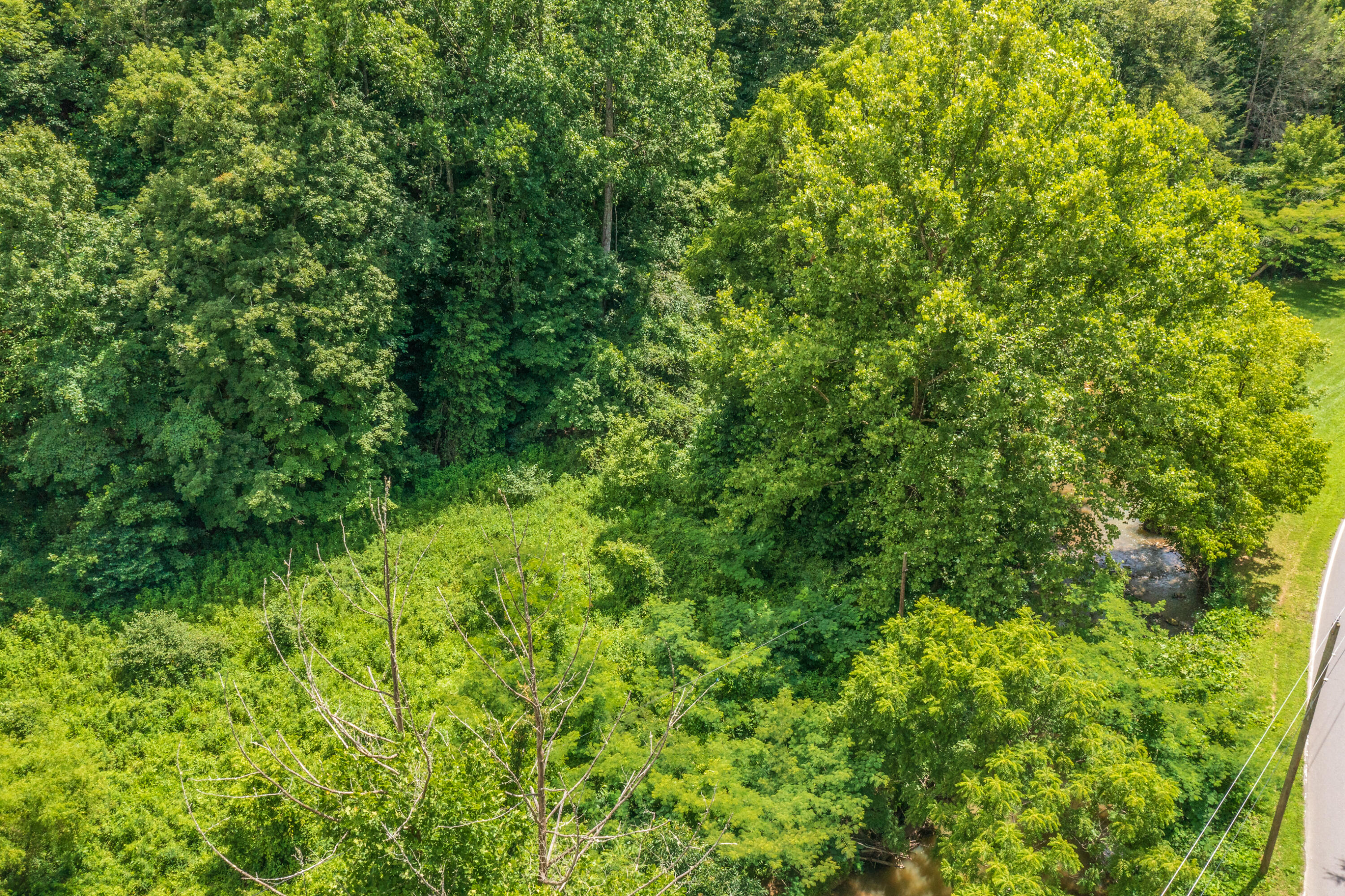 Spruce Pine (330 Acres) Road Mooresburg TN 37811