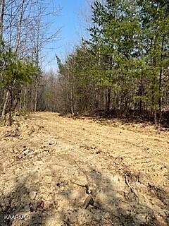 Spruce Pine (330 Acres) Road Mooresburg TN 37811