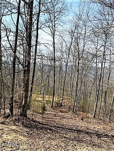 Spruce Pine (330 Acres) Road Mooresburg TN 37811
