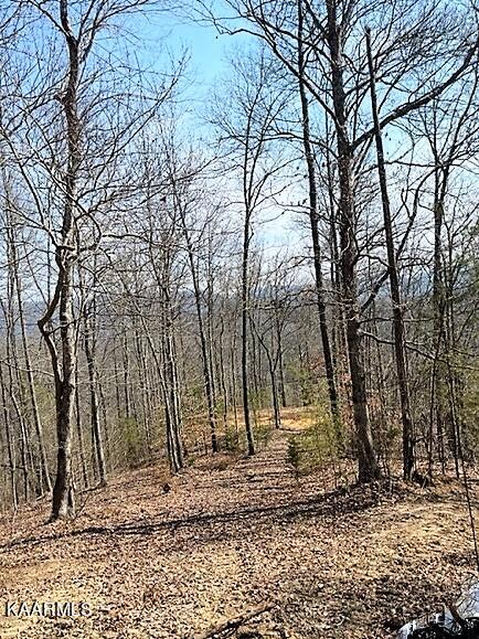 Spruce Pine (330 Acres) Road Mooresburg TN 37811