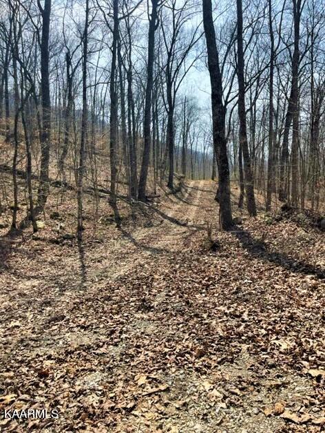 Spruce Pine (330 Acres) Road Mooresburg TN 37811
