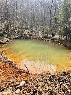 Spruce Pine (330 Acres) Road Mooresburg TN 37811