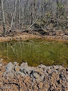 Spruce Pine (330 Acres) Road Mooresburg TN 37811