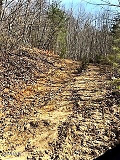 Spruce Pine (330 Acres) Road Mooresburg TN 37811