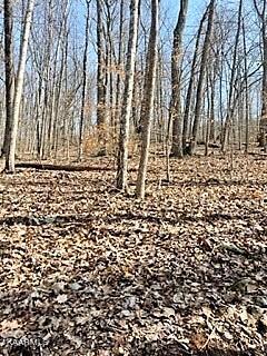 Spruce Pine (330 Acres) Road Mooresburg TN 37811